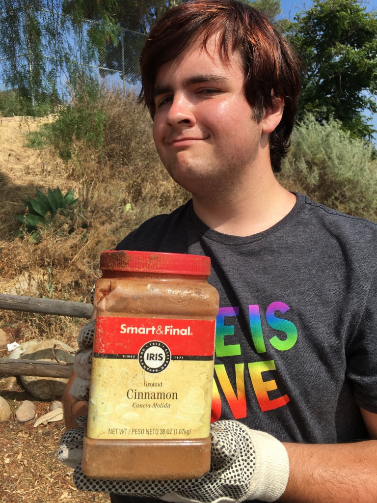 Weird Cinnamon